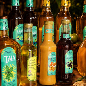 Licor Artesanal – Frutas e Sabores Especiais – Recanto Magini