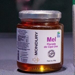 Mel de Abelha Africanizada – Meliponário Mondury