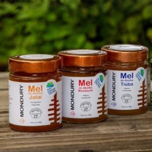 Mel de Abelhas Nativas – Meliponário Mondury
