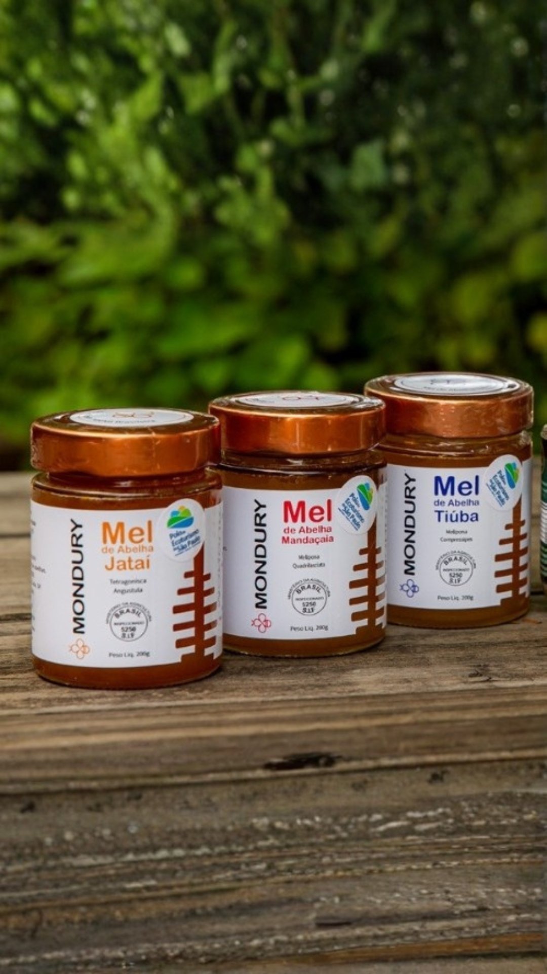 Caixas de meliponário