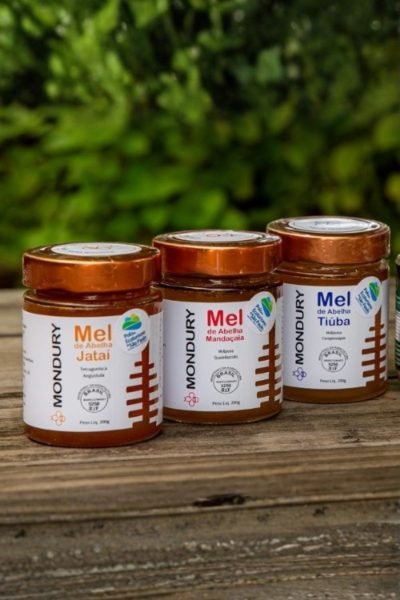 MEL DE ABELHAS NATIVAS